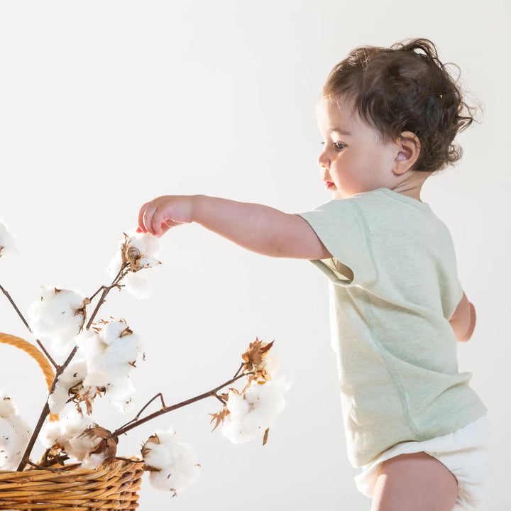 Baby Short Sleeve Tee - Organic Cotton