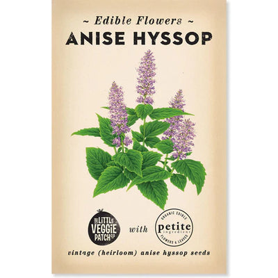 Hyssop 'Anise'