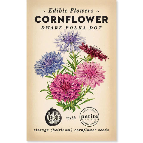 Cornflower 'Polka Dot' – That Eco Place Inverloch