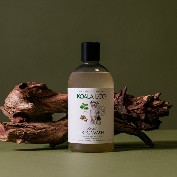 Koala Eco Dog Wash 500ml bottle on green background