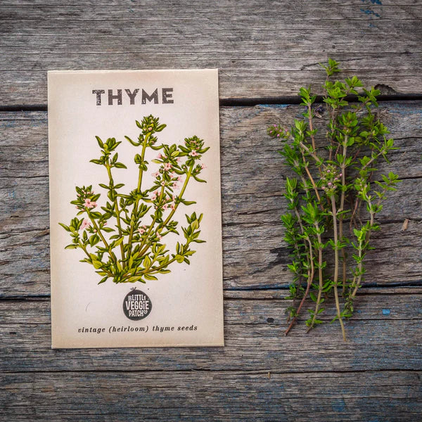 Thyme 'Summer'