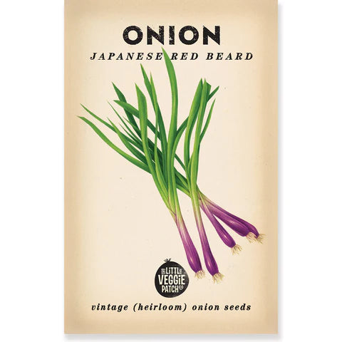 Onion 'Japanese Red Beard'