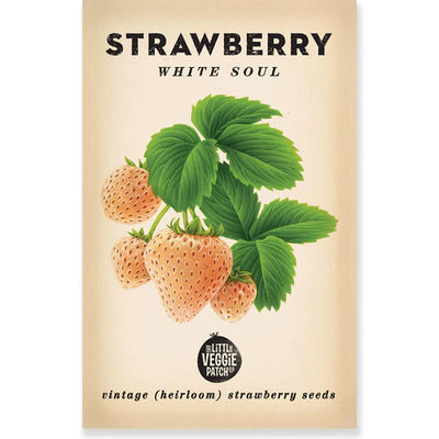 Strawberry 'White Soul'