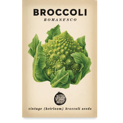 Broccoli 'Romanesco'