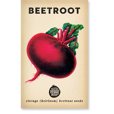 Beetroot  ‘Detroit’