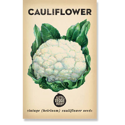 Cauliflower 'Snowball'