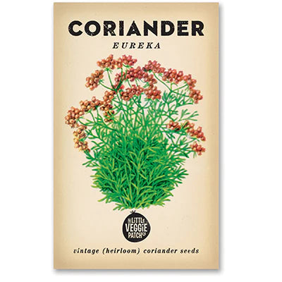 Coriander 'Eureka'