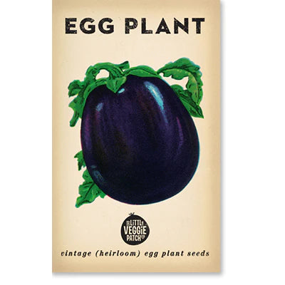 Eggplant 'Florida Market'