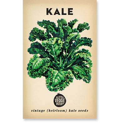 Kale ‘Dwarf Blue’