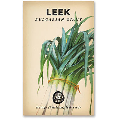 Leek 'Bulgarian'