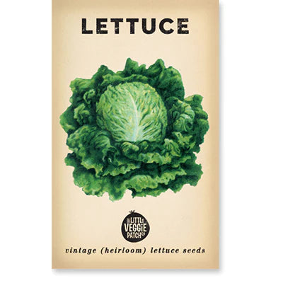Lettuce 'Oakleaf'
