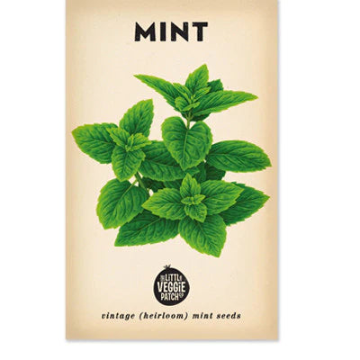 Mint 'Peppermint'