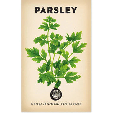 Parsley 'Italian'