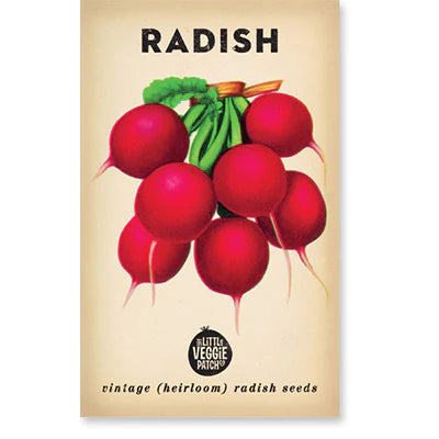 Radish ‘Cherry Belle’