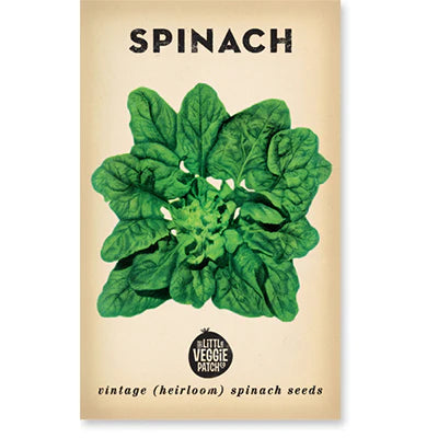 Spinach 'Bloomsdale'