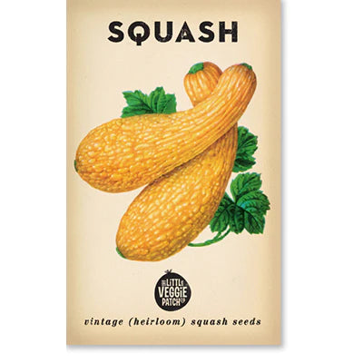 Squash 'Golden Summer Crookneck'