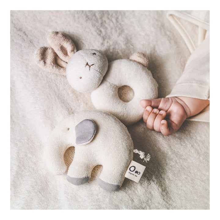 Baby Rattle