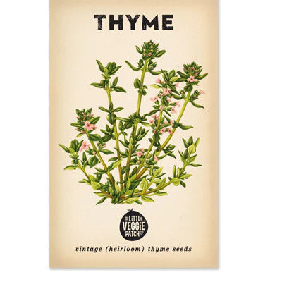Thyme 'Summer'