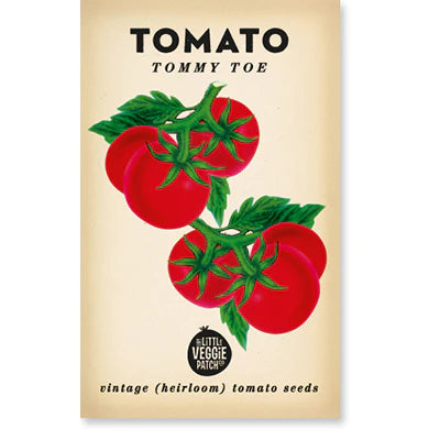 Tomato ‘Tommy Toe’