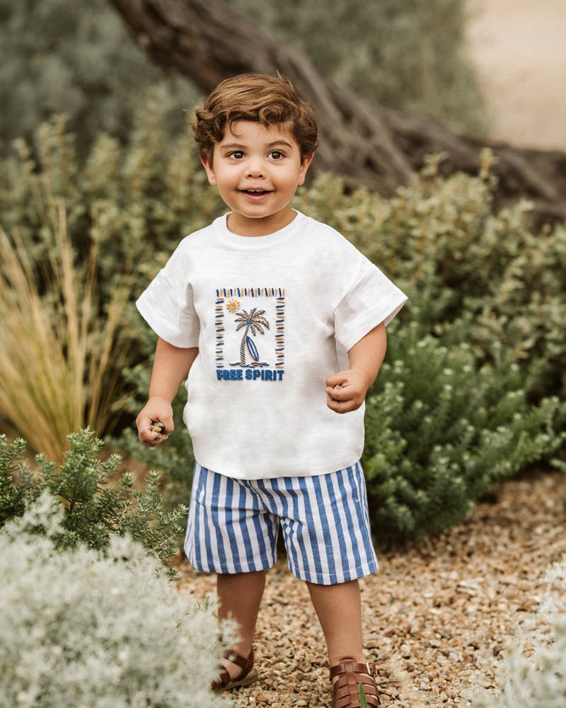 Havana Stripe Shorts – Blue – view 1