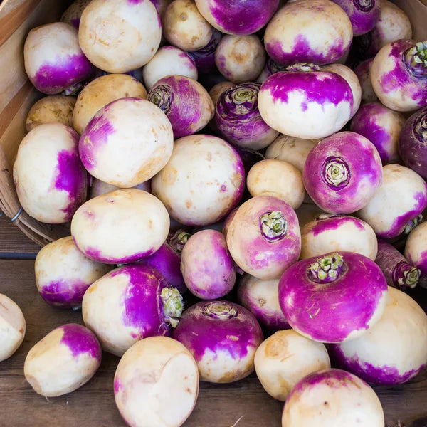 Turnip 'Purple Top'