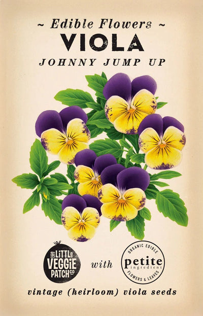 Viola 'Johnny Jump Up'