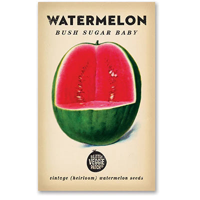 Watermelon 'Bush Sugar Baby'