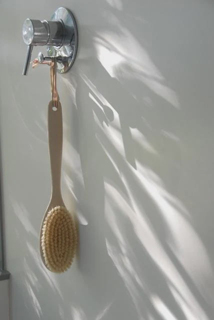 Body Bath Brush One Piece