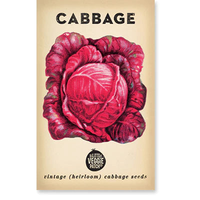 Cabbage ‘Savoy Purple’