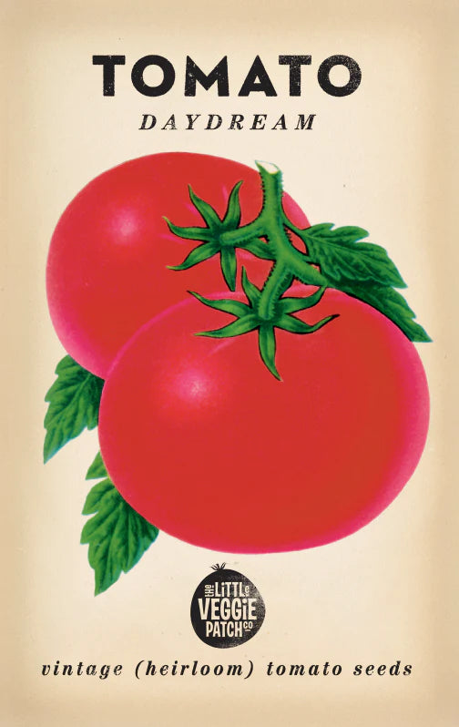 Tomato  'Daydream'